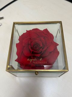 （分類：）位於 。 由 chanuchi 提交（商品編號 1378649841，圖片 1）。簡介： 。