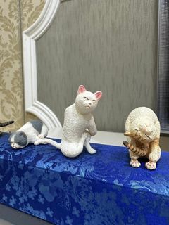 由 chian_cat (刊登 ID 1378580150，圖片 1) 提交，位於 的 (類別：)，說明：。