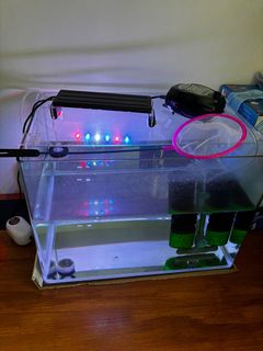(Category: ) located in . Submitted by sammmm5067 (Listing ID 1378598631, Image 1). Description: .