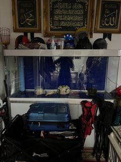 (Category: ) located in . Submitted by jmall88 (Listing ID 1378566044, Image 1). Description: .