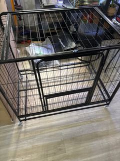 (Category: ) located in . Submitted by shanonhong (Listing ID 1378619670, Image 1). Description: .