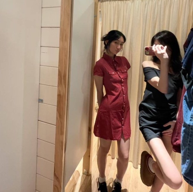 brandy melville red checkered dress brandy melville red plaid dress, Women's Fashion, Dresses & Sets, Dresses  on Carousell