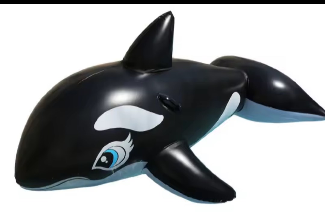 Rental: Orca Whale Pool Float, Hobbies & Toys, Toys & Games on Carousell