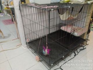 (Category: ) located in . Submitted by fitrahsyah_69 (Listing ID 1378662044, Image 1). Description: .