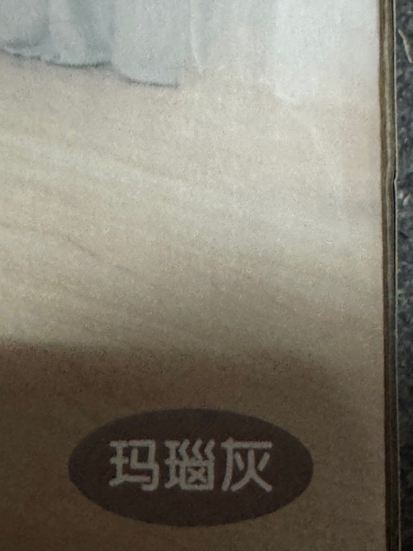 由 wu_888824 (刊登 ID 1378669534，圖片 2) 提交，位於 台北市 (Taipei) 的 MAGLC魔術 掃把笨斗組合 (類別：清潔工具)，說明：台北市松山信義可以面交自取。