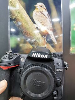 （分類：）位於 。 由 shamwo_114 提交（商品編號 1378644534，圖片 1）。簡介： 。