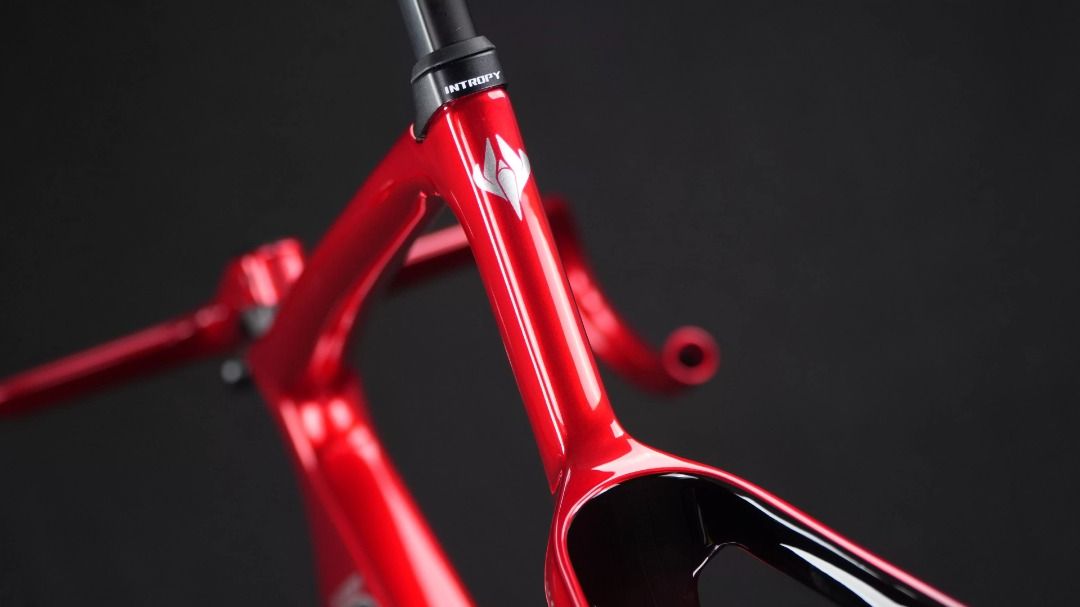 (PO) INCOLOR INTROPY SS/SS+ Aero Road Frameset, Sports Equipment ...