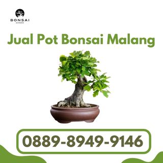 (Kategori: ) berada di . Dikirim oleh jualpotbonsaimalang (ID iklan 1378534944, Gambar 1). Deskripsi: .