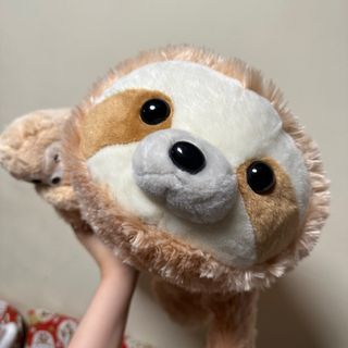 （分類：）位於 。 由 yu_catt 提交（商品編號 1378893046，圖片 1）。簡介： 。