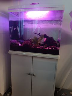 (Category: ) located in . Submitted by longbrother (Listing ID 1378788398, Image 1). Description: .