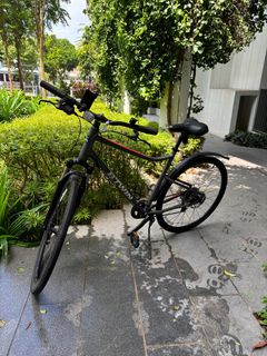 (Category: ) located in . Submitted by cyclefriend88 (Listing ID 1378767678, Image 1). Description: .