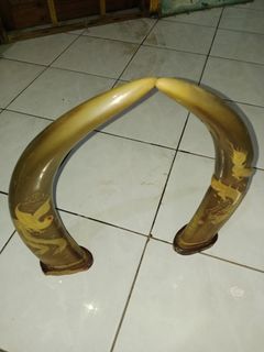(Kategori: ) berada di . Dikirim oleh hamdanidedi65-32520 (ID iklan 1378883128, Gambar 1). Deskripsi: .
