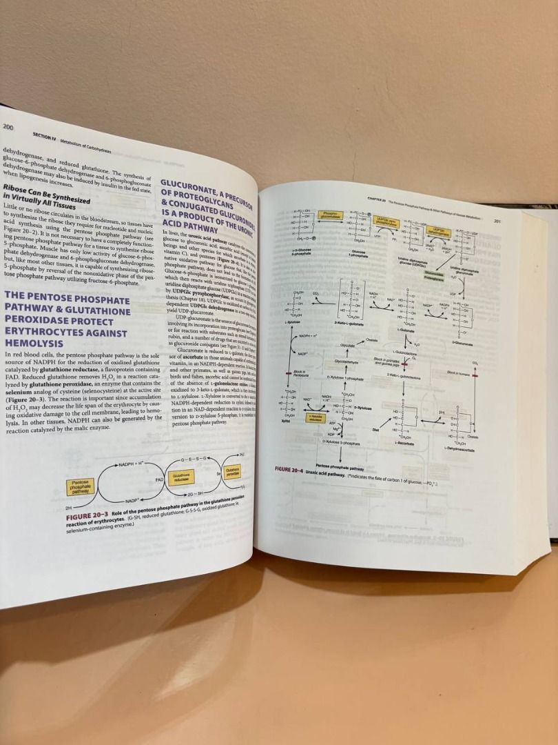 Harper's Illustrated Biochemistry 30th Edition (Category: Textbooks) located in Davao. Submitted by rmaeb (Listing ID 1378878775, Image 3). Description: Reprinted Book With minimal highlights/markings (<5 pages) RFS: Decluttering room .