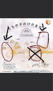 （分類：）位於 。 由 mandymaaaaa 提交（商品編號 1377513180，圖片 1）。簡介： 。