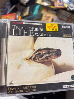 （分類：）位於 。 由 creamother 提交（商品編號 1379035333，圖片 1）。簡介： 。