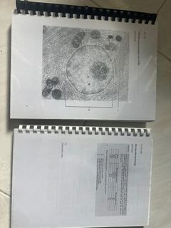 （分類：）位於 。 由 Gurtf 提交（商品編號 1378985073，圖片 1）。簡介： 。