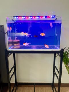 (Category: ) located in . Submitted by eskimojoe (Listing ID 1378927395, Image 1). Description: .