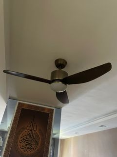 (Category: ) located in . Submitted by sharminsohel (Listing ID 1378988684, Image 1). Description: .