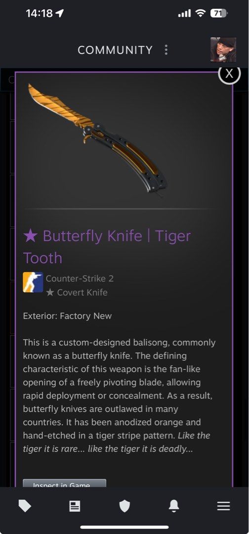 CS2 Butterfly Knife | Tiger Tooth | Factory New, Video Gaming, Gaming ...
