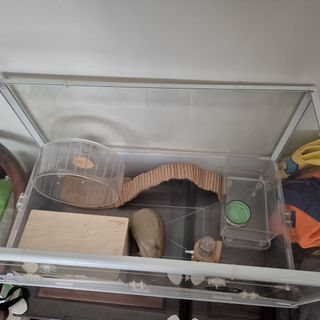 (Category: ) located in . Submitted by liewsells (Listing ID 1379109909, Image 1). Description: .
