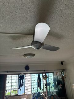 (Category: ) located in . Submitted by gmfern (Listing ID 1379057737, Image 1). Description: .