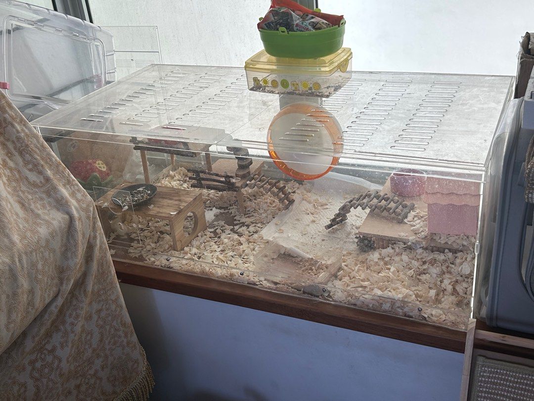 Large Hamster Cage Acrylic Pet Supplies Homes Other Pet Accessories Photo Inspiration