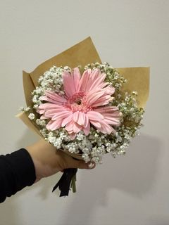 (Category: ) located in . Submitted by alflora.sg (Listing ID 1379126883, Image 1). Description: .