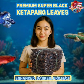 (Category: ) located in . Submitted by haohao.mandarin (Listing ID 1379125250, Image 1). Description: .
