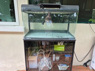 (Category: ) located in . Submitted by ongsm (Listing ID 1378934885, Image 1). Description: .