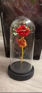 (Category: ) located in . Submitted by lindaystore (Listing ID 1379034747, Image 1). Description: .