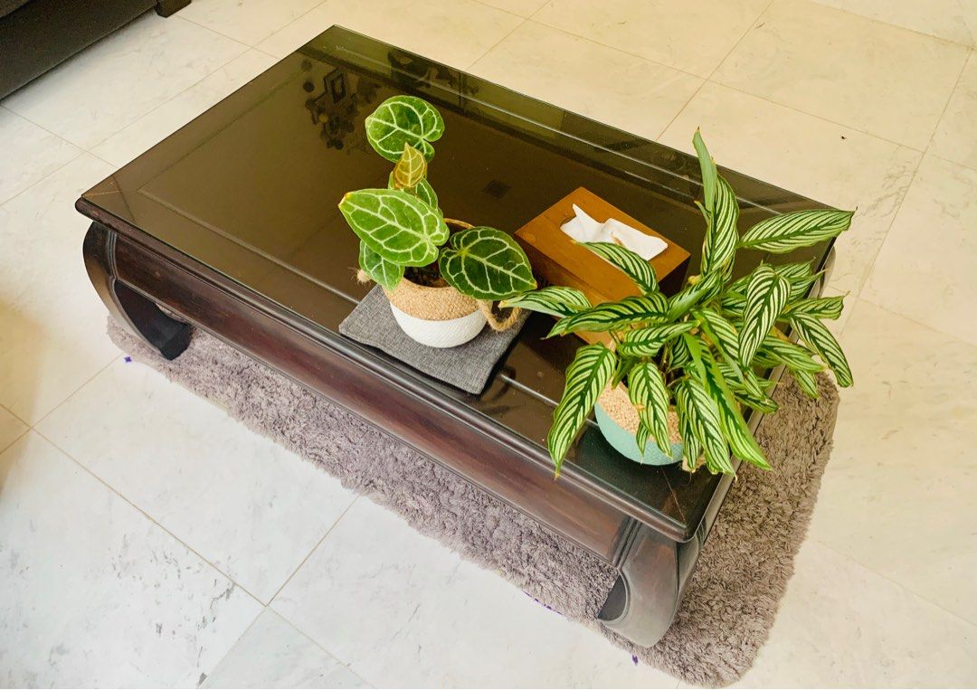 Rosewood coffee table