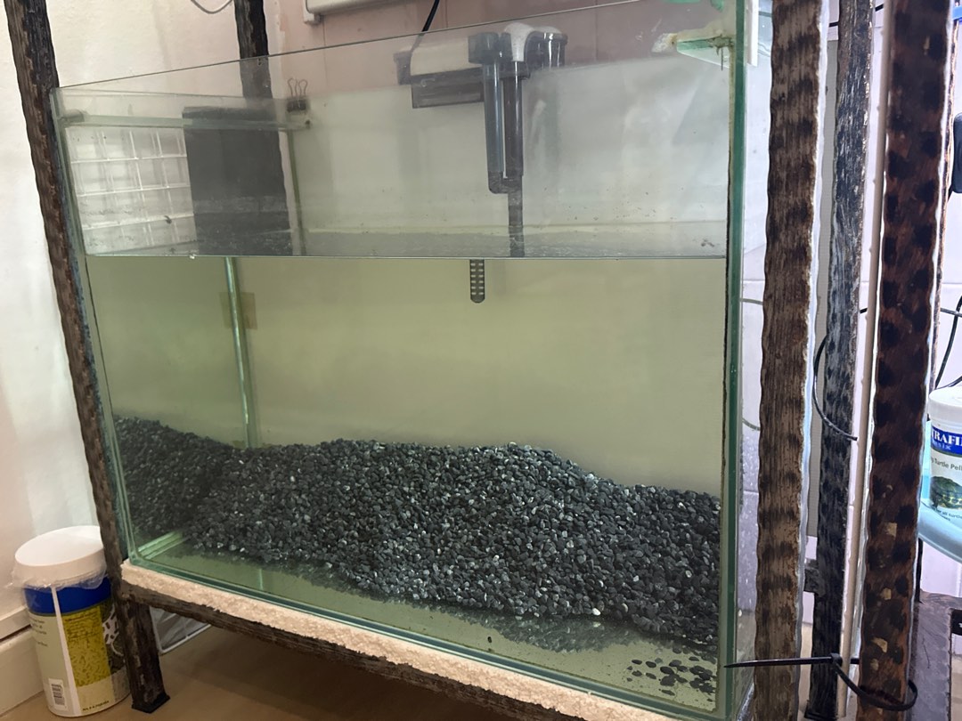 View of Used Aquarium Tank and Filter, Pet Supplies, Homes & Other Pet ...