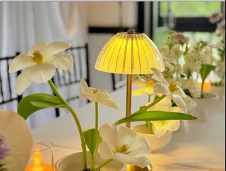 (Category: ) located in . Submitted by greenplants (Listing ID 1379046876, Image 1). Description: .