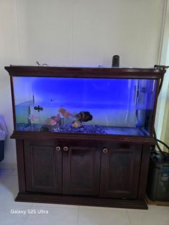 (Category: ) located in . Submitted by thomaschee (Listing ID 1378997984, Image 1). Description: .