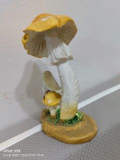 由 aa0926157517387 (刊登 ID 1379280573，圖片 1) 提交，位於 的 (類別：)，說明：。