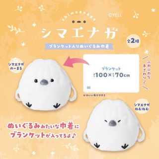 （分類：）位於 。 由 apr0128 提交（商品編號 1379144643，圖片 1）。簡介： 。