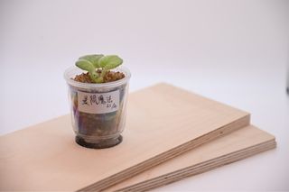 （分類：）位於 。 由 cc_agave 提交（商品編號 1379139203，圖片 1）。簡介： 。