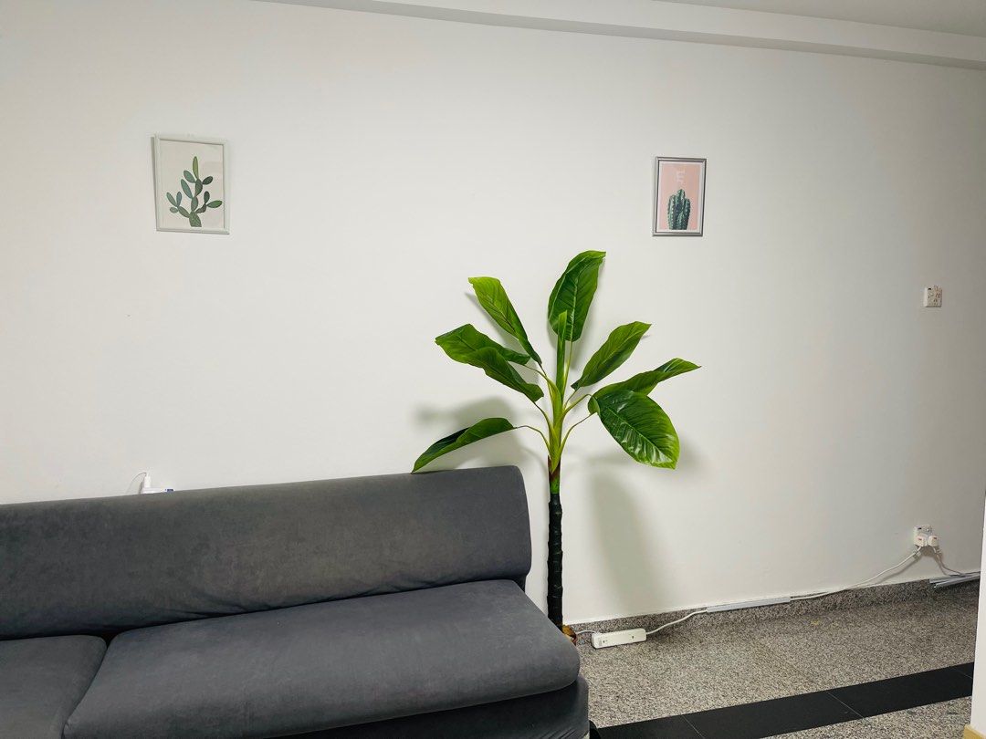 🌈Boon Keng Condo Small Single Room63225678824707113