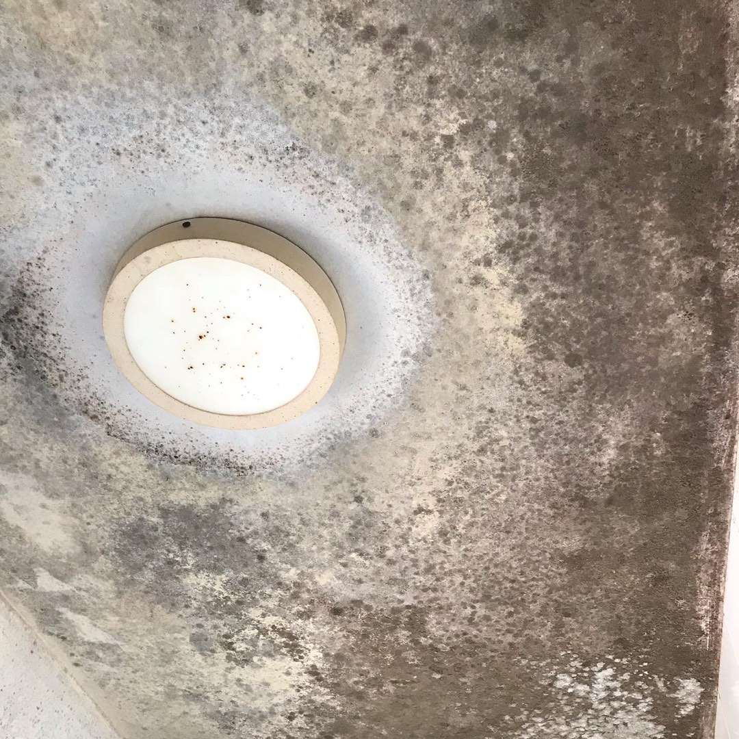 (Category: ) located in . Submitted by erstapac (Listing ID 218784187, Image 1). Description: .