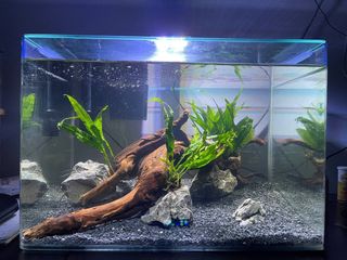 (Category: ) located in . Submitted by ahnutt (Listing ID 1379216949, Image 1). Description: .