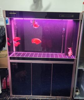 (Category: ) located in . Submitted by hudz (Listing ID 1379152714, Image 1). Description: .