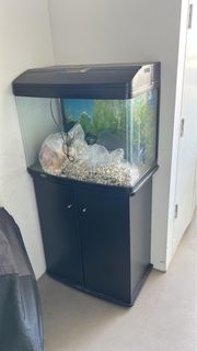 (Category: ) located in . Submitted by kanes (Listing ID 1379141034, Image 1). Description: .