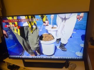 （分類：）位於 。 由 mixcollapsingstore 提交（商品編號 1379314397，圖片 1）。簡介： 。