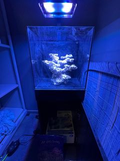 (Category: ) located in . Submitted by tommy11q (Listing ID 1379144219, Image 1). Description: .