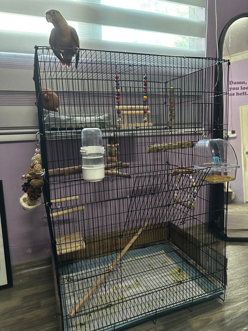 Sangkar Burung Parrot Hamster Sugar Glider Cage Pet Supplies Homes Photo Inspiration