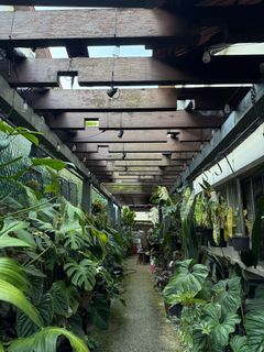 (Category: ) located in . Submitted by sggoh1962 (Listing ID 1379283332, Image 1). Description: .