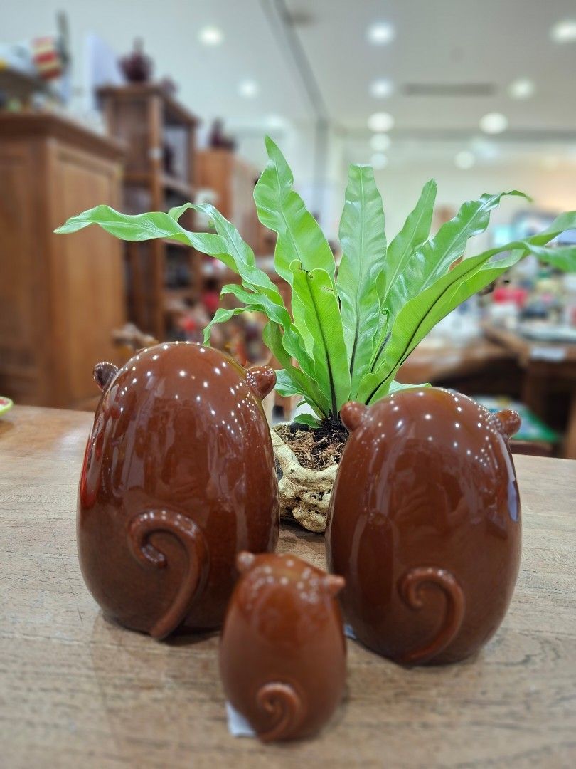 由 chafrequent (刊登 ID 1379420974，圖片 3) 提交，位於 嘉義市 (Chiayi City) 的 陶瓷可愛鄉村風猴子（三件組） (類別：其他居家裝飾)，說明：陶瓷材質 尺寸 11×10×14.5公分 10×9×12.5公分 5×5×7公分 三件一組 原價780特惠價520。