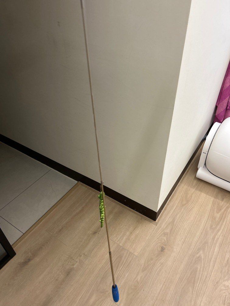 由 min_vivi (刊登 ID 1379521851，圖片 1) 提交，位於 台中市 (Taichung) 的 貓咪逗貓蜥蜴🦎 (類別：貓眼和門鈴)，說明：。