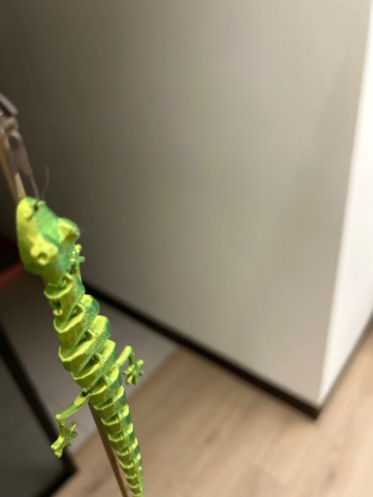 由 min_vivi (刊登 ID 1379521851，圖片 2) 提交，位於 台中市 (Taichung) 的 貓咪逗貓蜥蜴🦎 (類別：貓眼和門鈴)，說明：。
