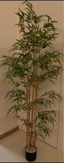 (Category: ) located in . Submitted by bgarden (Listing ID 1379350503, Image 1). Description: .